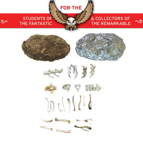 Cabinet of Curiosities - Owl Pellets