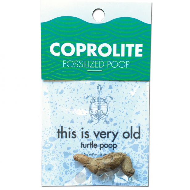 Compact Curiosities - Coprolite