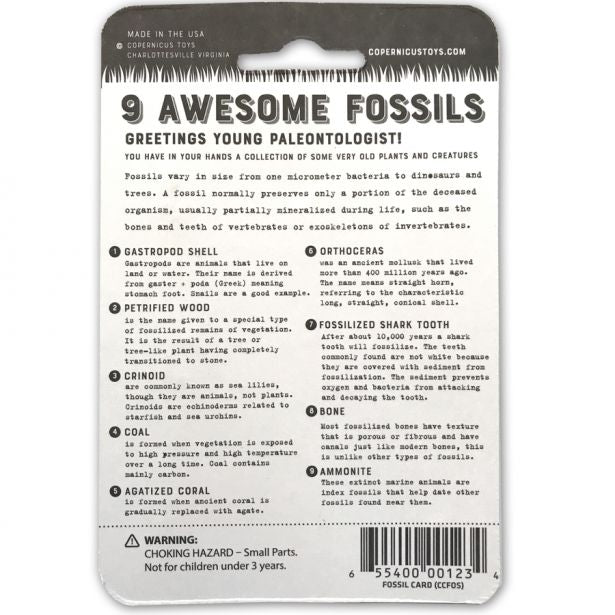 Compact Curiosities - Fossil Card