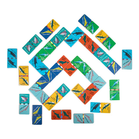 Image shows the dominoes laid out in a pattern