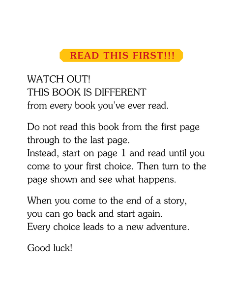 Book (Paperback) - Choose Your Own Adventure: Ghost Island