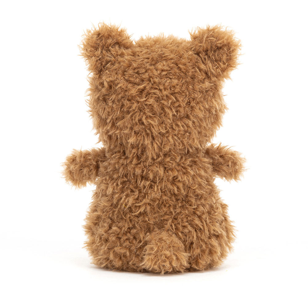 A back view of the scruffy teddy bear