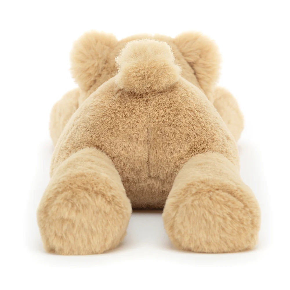 A back view of the tan, floppy teddy bear