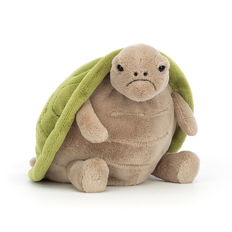 A stuffed turtle with a frown on its face. The turtle is seated.