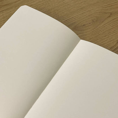 Image shows the inside of the journal. The pages are blank.