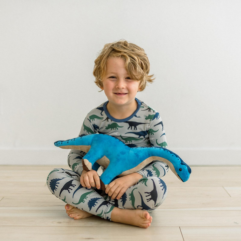 2 Piece Pajamas (Long Sleeve) - Dove Dino Museum