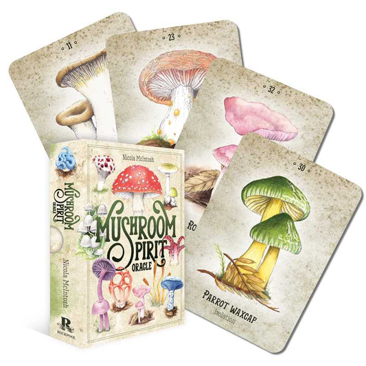 Image shows the mushroom spirit oracle card box and several of the oracle cards