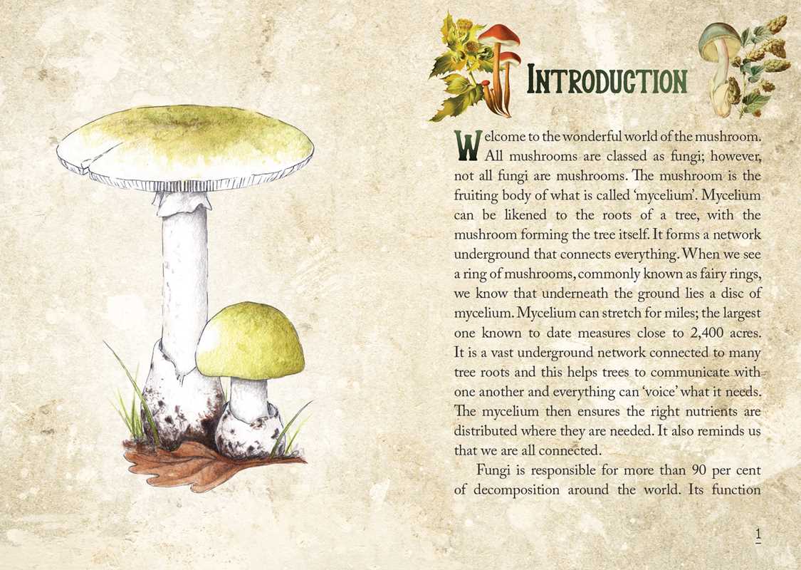 The image shows the introduction page of the guide book