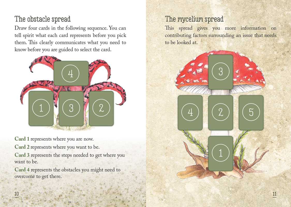 The image shows two different ways to spread the oracle cards - the obstacle spread and the mycelium spread