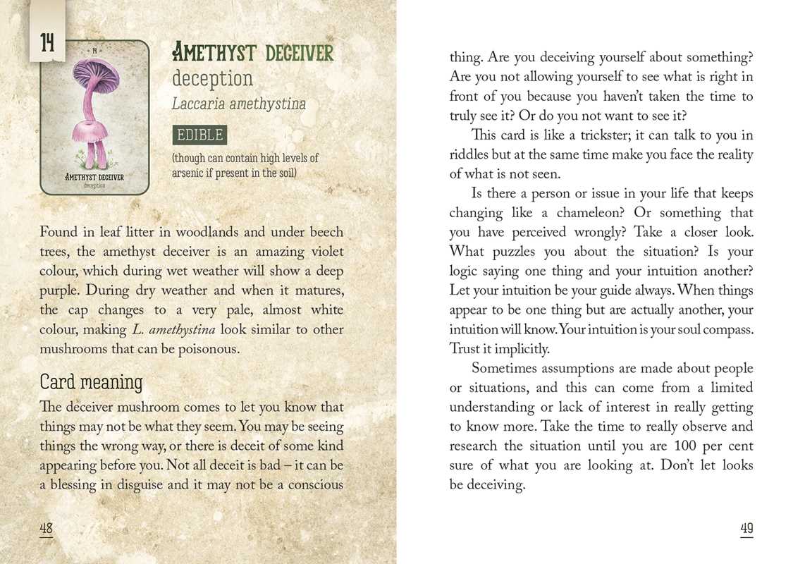 The image shows two pages that explain the amethyst deceiver oracle card in depth