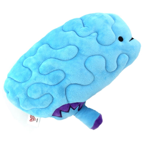 Image shows a side view of the stuffed brain