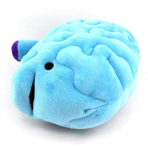 Image shows a front view of the stuffed brain. It has a happy face.