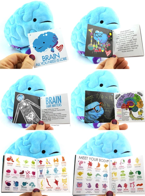Image shows the brain next to each page of the information card it comes with