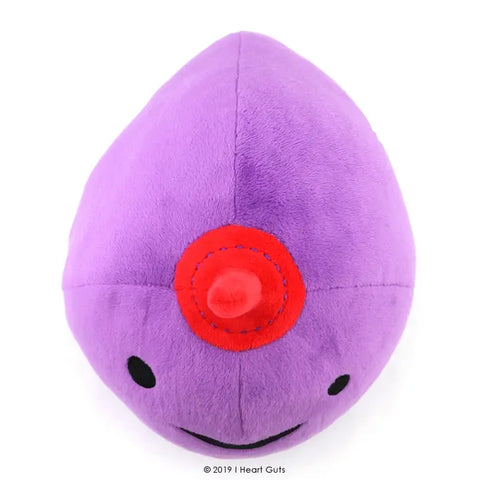 Image shows a top-down view of the stuffed breast