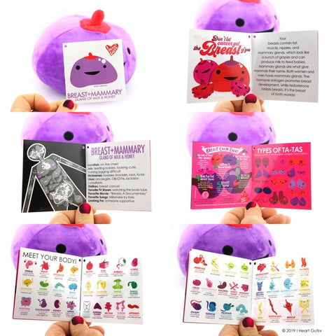 Image shows the stuffed breast next to each page of the information card it comes with