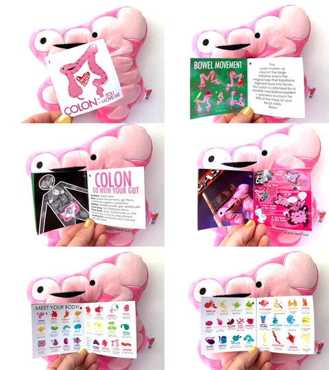 Image shows the stuffed colon with all pages of the information card it comes with