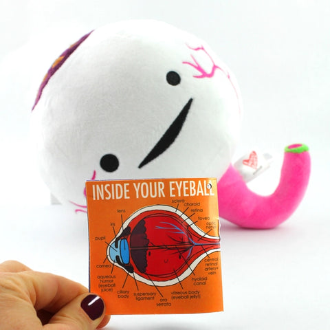 Image shows the stuffed eyeball with another page of the information card it comes with