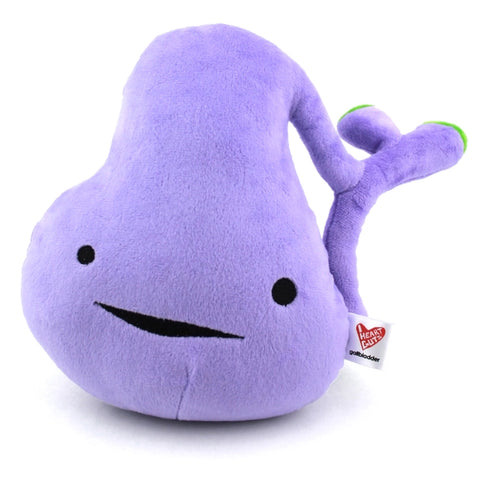 Image shows a front view of the stuffed gall bladder