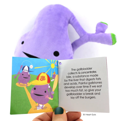 Image shows the stuffed gall bladder with a page of the information card it comes with