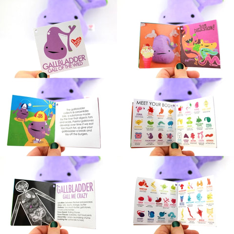 Image shows the stuffed gall bladder with all pages of the information card it comes with