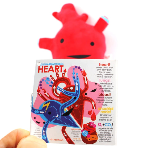 Image shows the stuffed heart with one of the pages of the information card it comes with