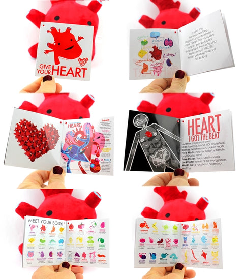 Image shows the stuffed heart with all of the pages of the information card it comes with