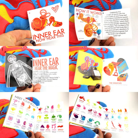 Image shows the stuffed inner ear with all the pages of the information card it comes with
