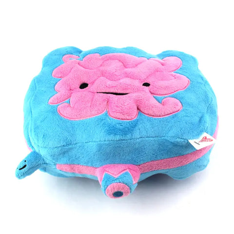 Image shows a bottom-up view of the stuffed intestine, showing the appendix.