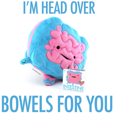 Image shows the stuffed intestine with the words "I'm head over bowels for you"