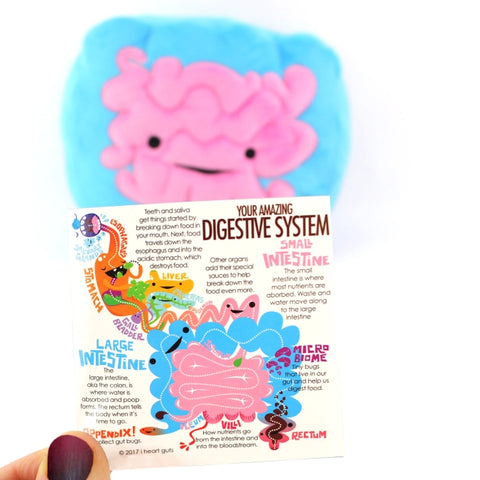 Image shows the stuffed intestine with one page of the information card it comes with