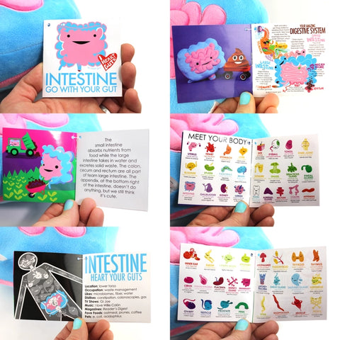 Image shows the stuffed intestine with all the pages of the information card it comes with