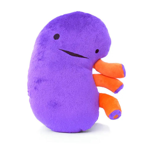 Image shows a stuffed purple and orange kidney with a happy face