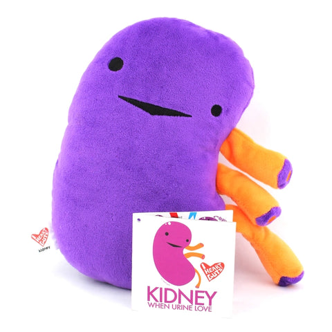 Image shows the stuffed kidney with a hang tag that says "Kidney: when urine love"