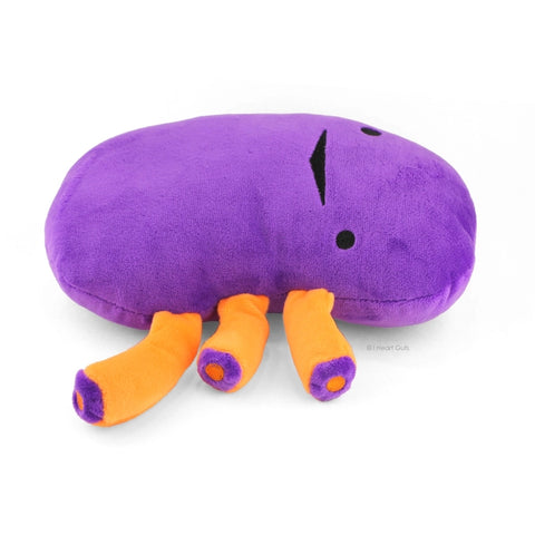 Image shows a side view of the stuffed kidney
