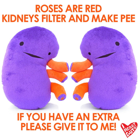 Image shows two stuffed kidneys with a poem about kidneys