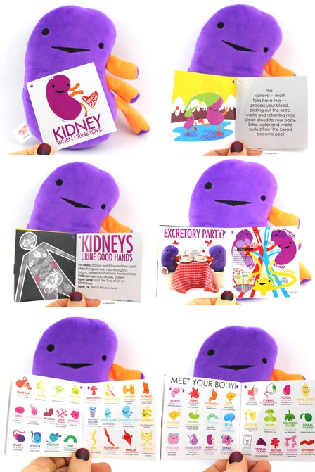 Image shows the stuffed kidney with all the pages of the information card it comes with