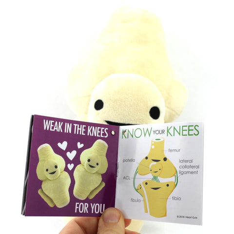 Image shows the stuffed knee joint with one of the pages of the information card it comes with