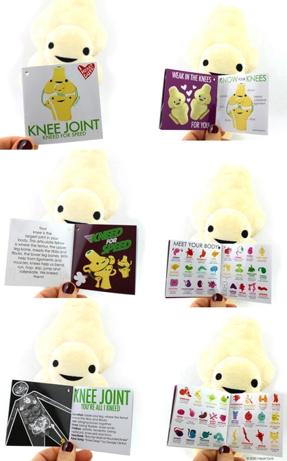Image shows the stuffed knee joint with all the pages of the information card it comes with