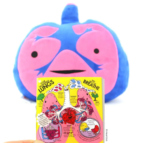 Image shows the stuffed lungs with one of the pages of the information card it comes with