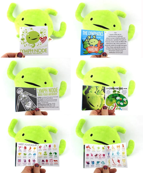 Image shows the stuffed lymph node with all pages of the information card it comes with
