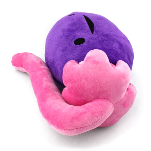 Image shows a side view of the stuffed ovary