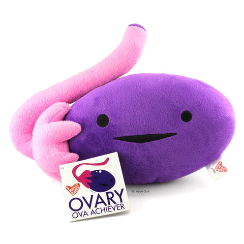 Image shows the stuffed ovary with a card that reads, "Ovary: ova achiver"