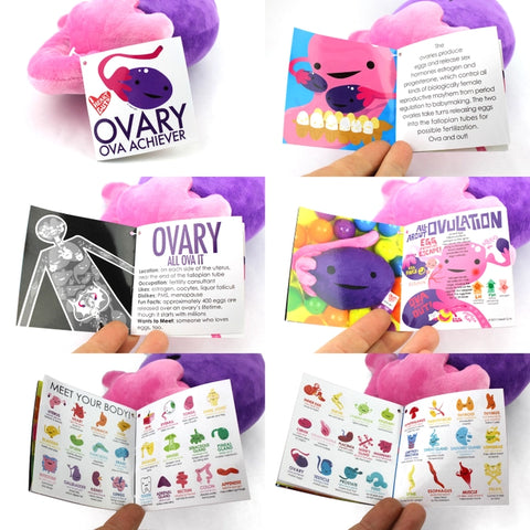 Image shows the stuffed ovary with all pages of the information card it comes with