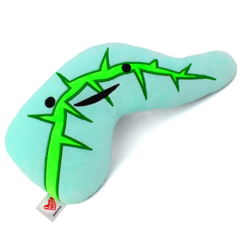 Image shows a top-down view of the stuffed pancreas