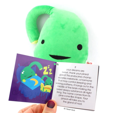 Image shows the stuffed pineal gland with one page of the information card it comes with