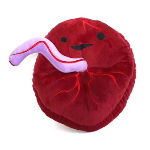 Image shows a stuffed placenta with a happy face