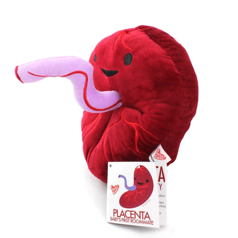 Image shows the stuffed placenta with a card that reads, "Placenta: baby's first roommate"