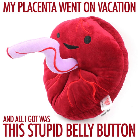 Image shows the stuffed placenta with a quote about placentas