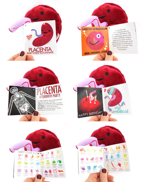 Image shows the stuffed placenta with all pages of the information card it comes with