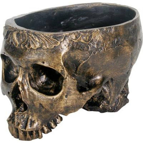 Image shows a bronze-colored skull cut open at the forehead to allow for plants to be planted.